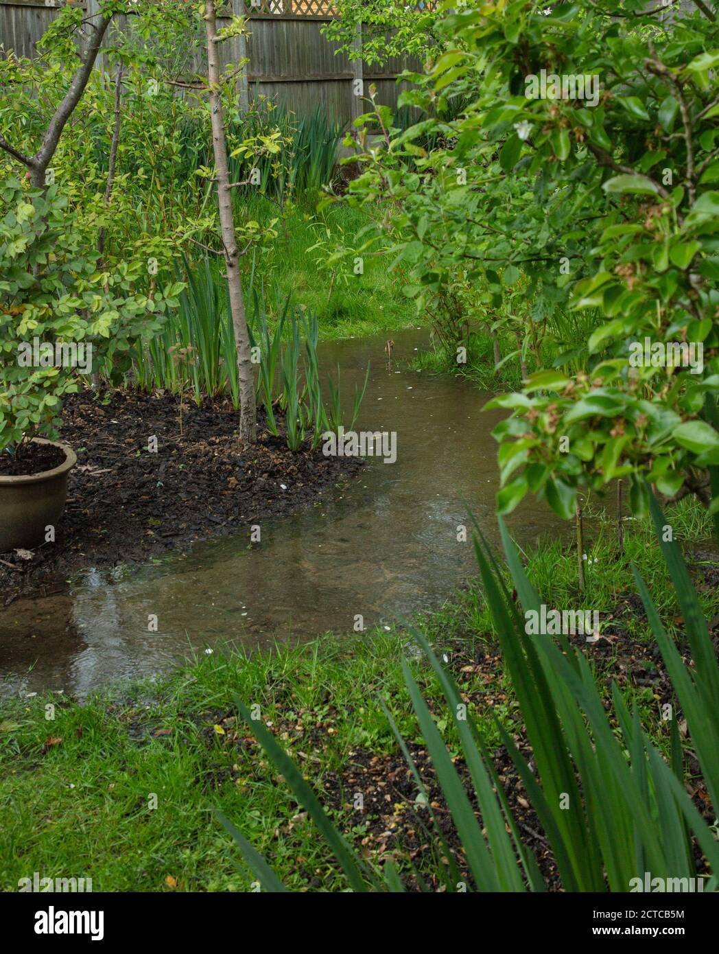 A garden path in between plants, some in a raiser border,  seen under water after some heavy rain. Stock Photo