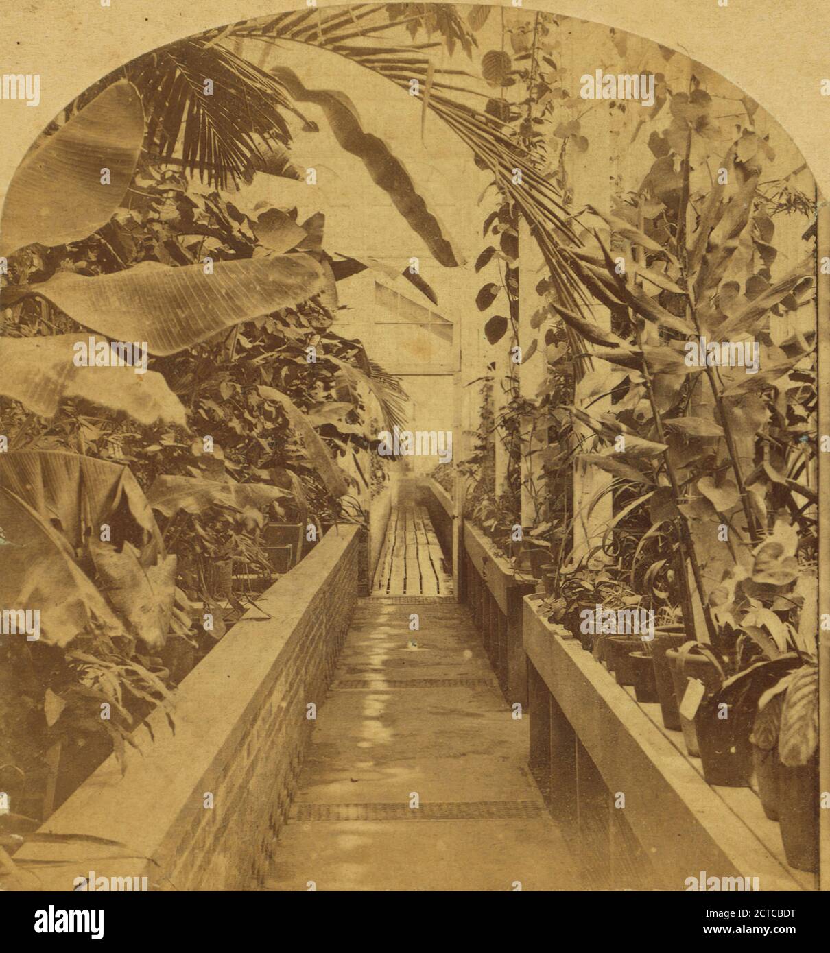 Conservatory, U.S. Agriculture Department, Washington., United States. Dept. of Agriculture, 1880 Stock Photo
