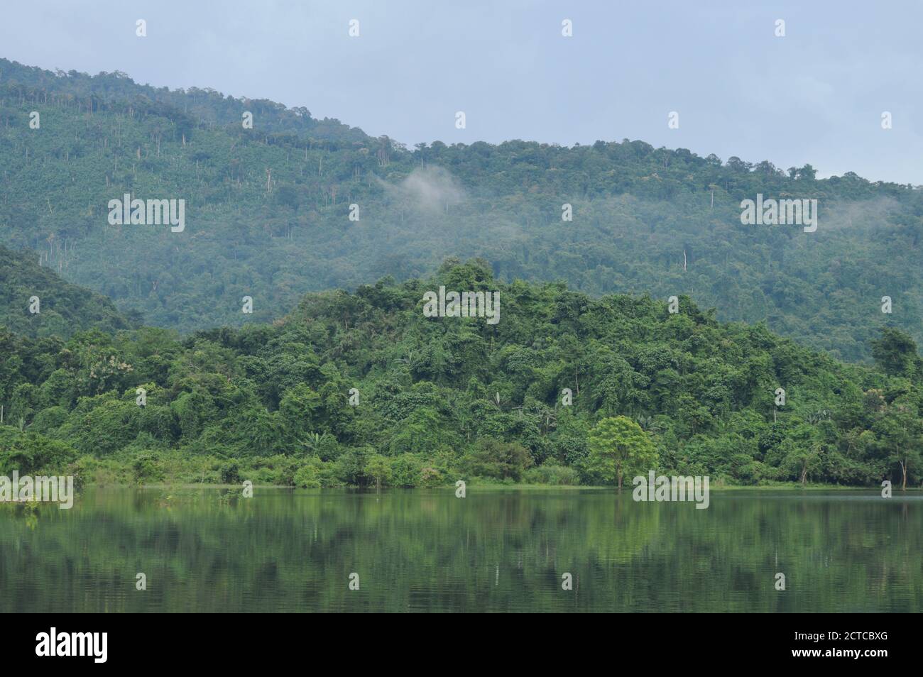 landscape of tree and reflection on water surface in lake with mountain ...