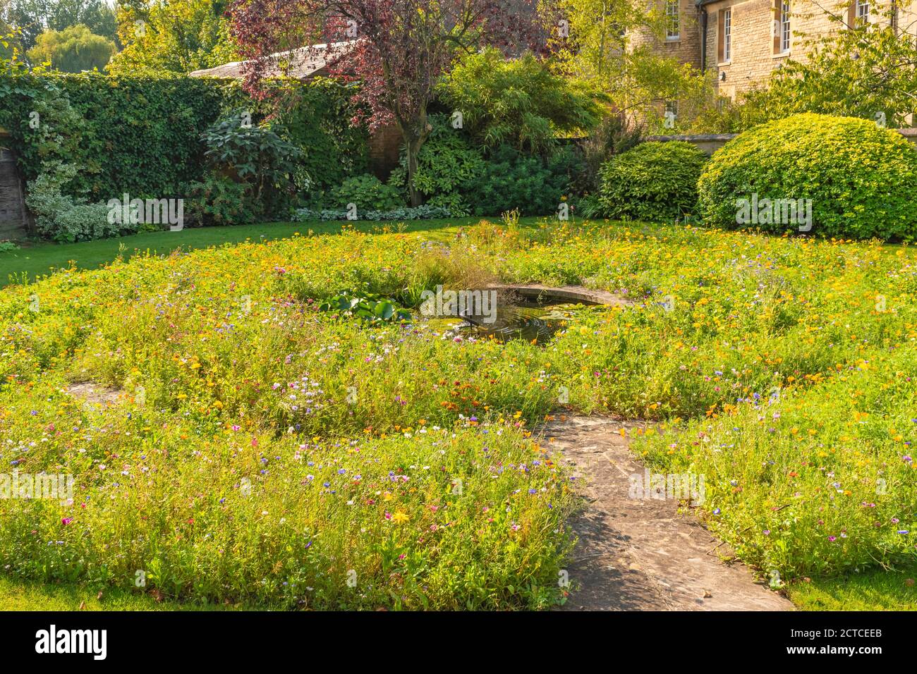 OXFORD CITY ENGLAND CHRIST CHURCH COLLEGE WILD FLOWER GARDEN WITH SMALL