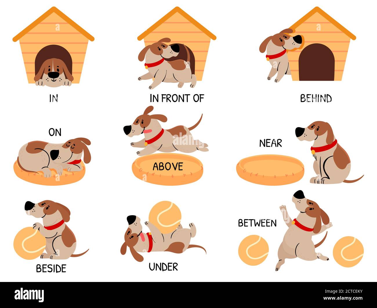 English prepositions with cute animal. Cartoon dog behind, above, near and  under dog house, bowl. Learning words kids education vector set. Comic char  Stock Vector Image & Art - Alamy