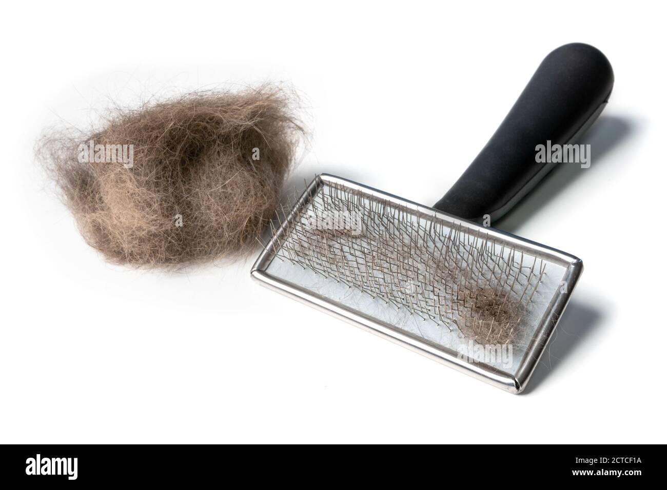 Cat brush with cat hair clump on the side. Wire bristle grooming brush. Fur stuck to comb. Brush out knots and remove middle, under or winter coat. Stock Photo