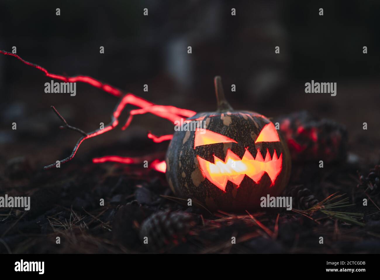 Halloween pumpkin with a scary face on dry grass Stock Photo - Alamy