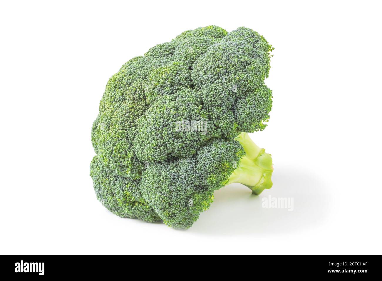 Broccoli cabbage close up isolated on white background Stock Photo
