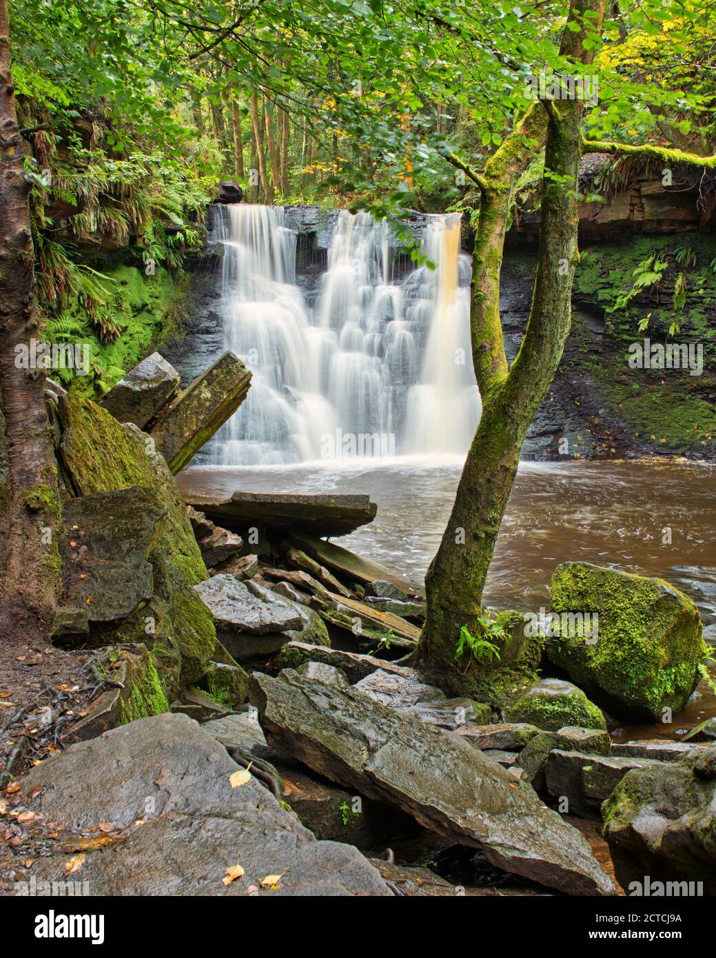 Goit Stock waterfall, revealed behind a surrounding tree, captured in portrait format Stock Photo
