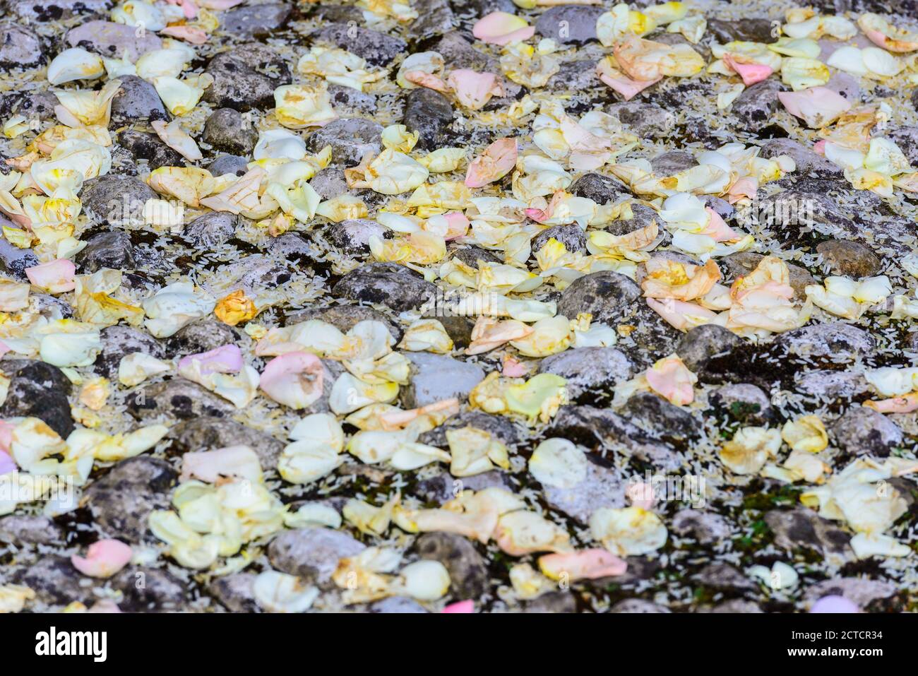 background of nike company