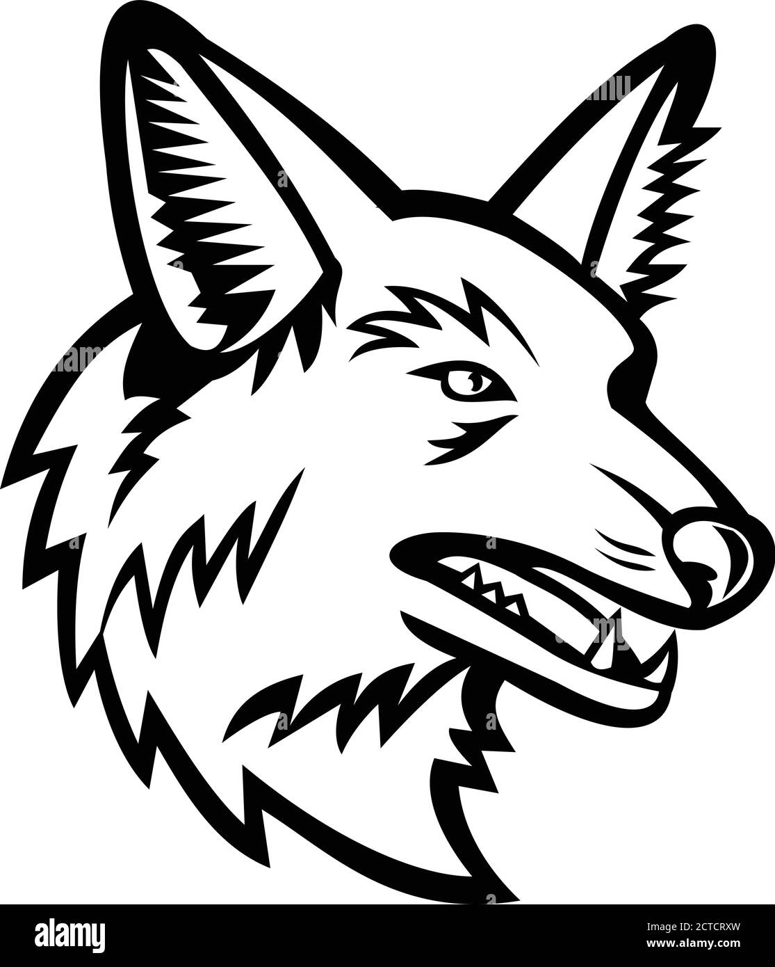 Gray Coyote Head Mascot by Aloysius Patrimonio