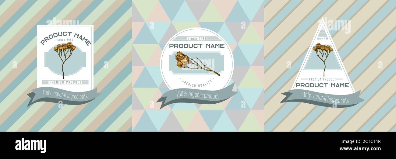 Tanists Label Three colored labels with illustration of tansy Stock Vector Image ...