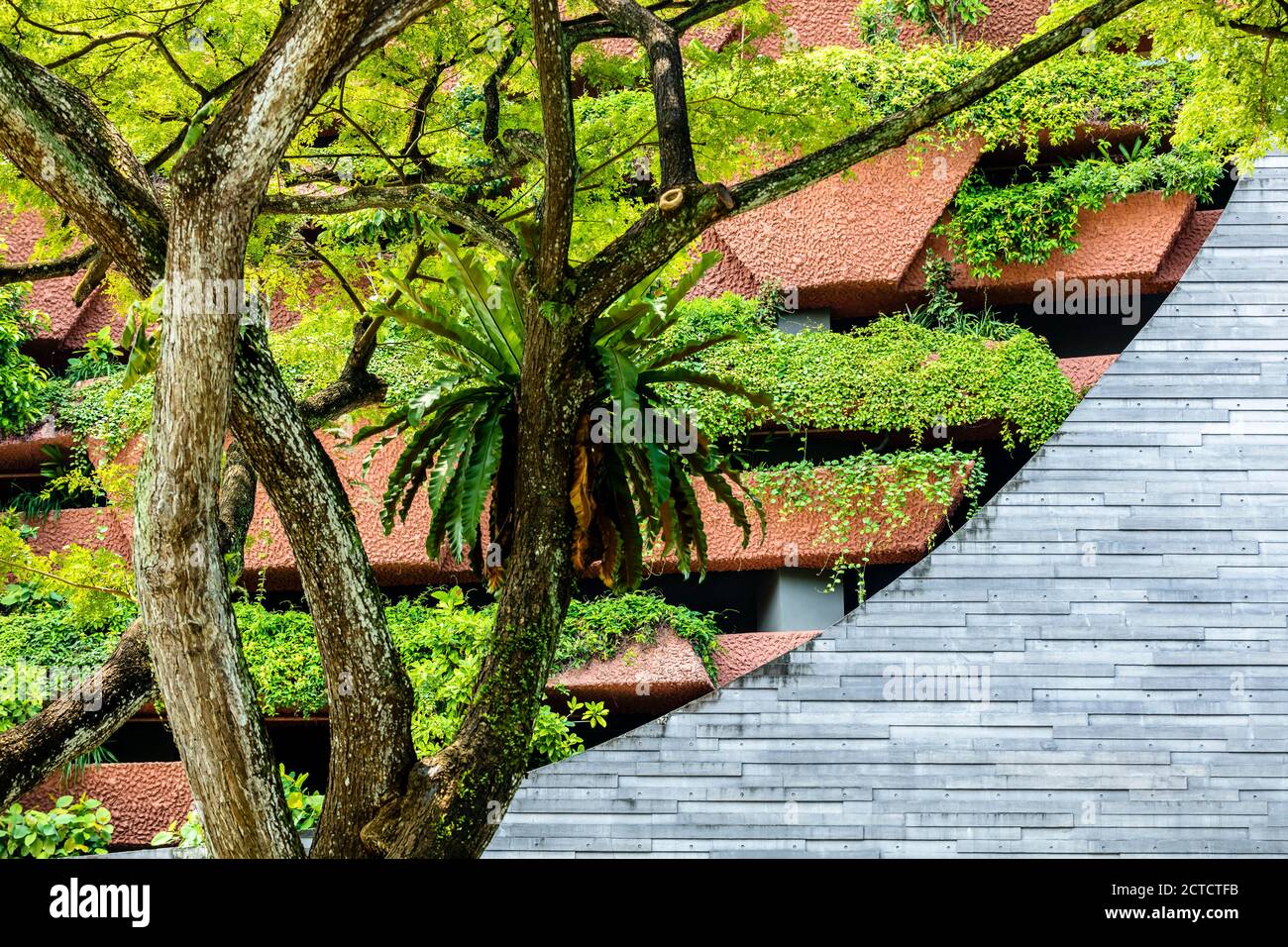 Exterior detail of the Lee Kong Chian Natural History Museum, Faculty of Science, National University of Singapore. Stock Photo