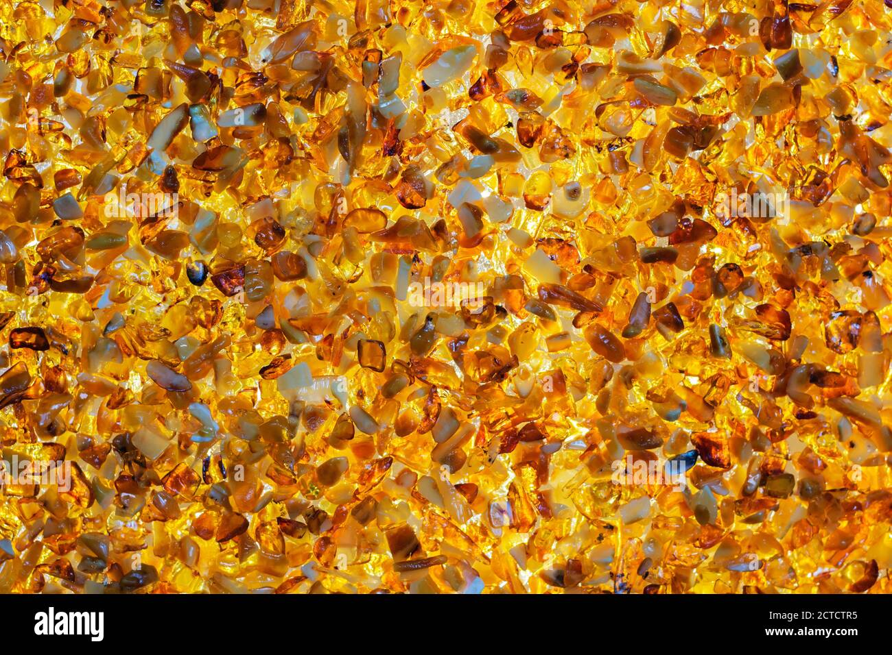 Amber stones from the beach of the Baltic Sea Stock Photo