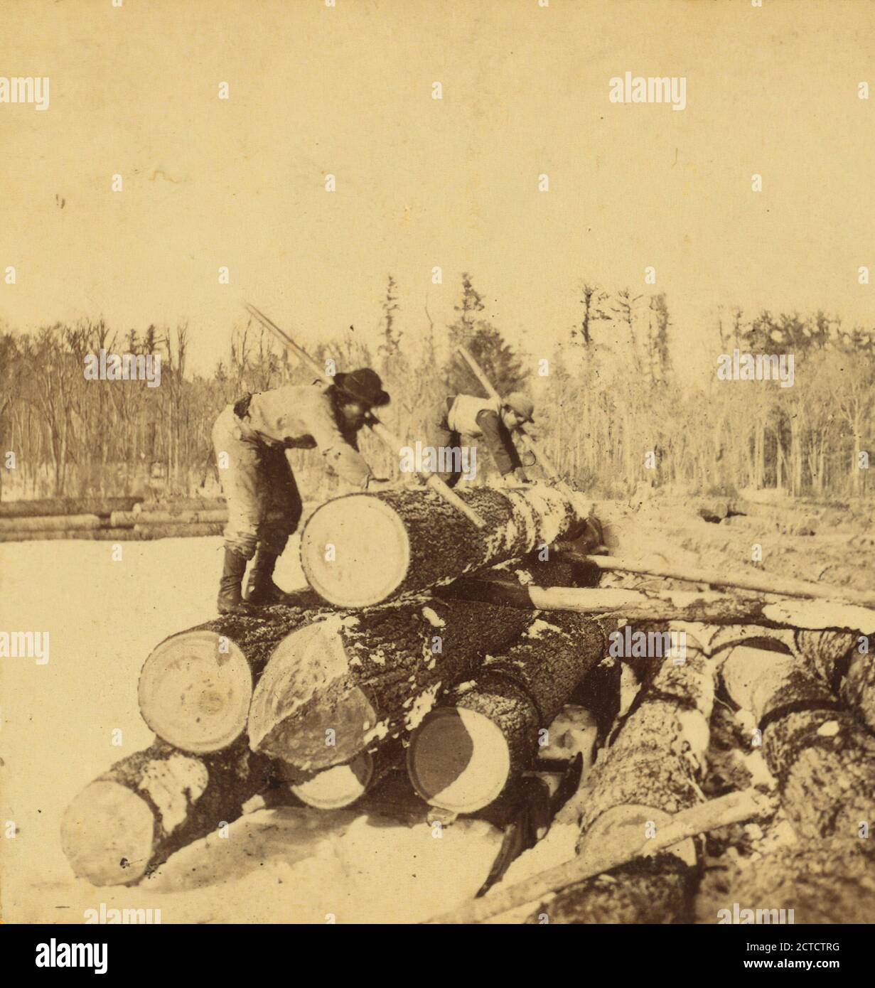 Unloading lumber hires stock photography and images Alamy