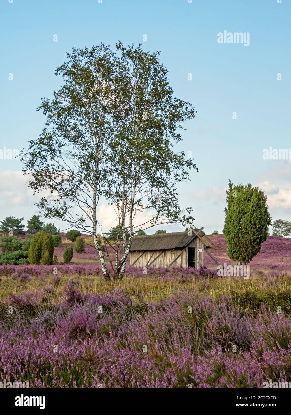 Barn with apiary at the landscape of Lueneburg Heath, Lower Saxony, Germany Stock Photo