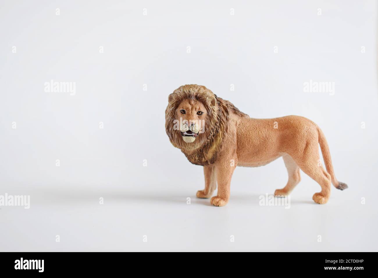toy miniature lion, isolated plastic toy lion on white background space