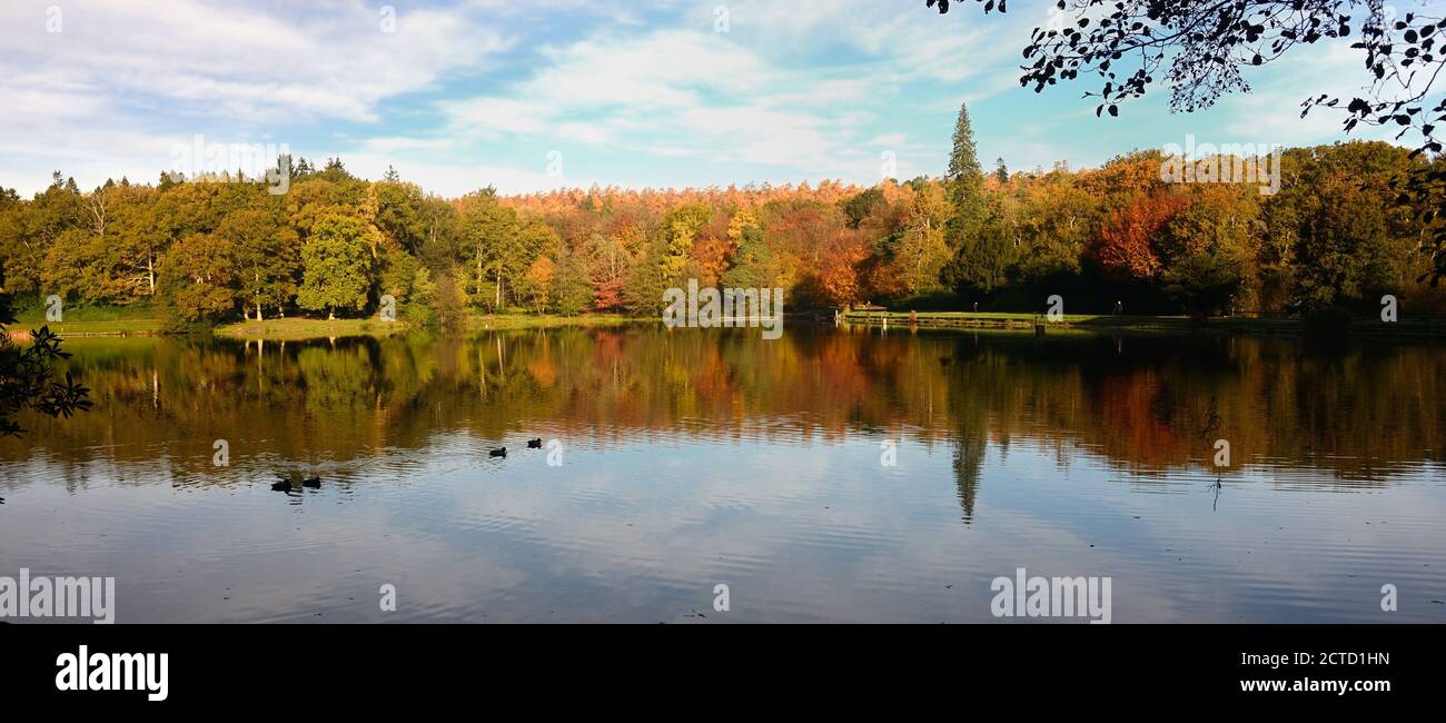 Autumn reflections in the lake at Shear Water. Stock Photo