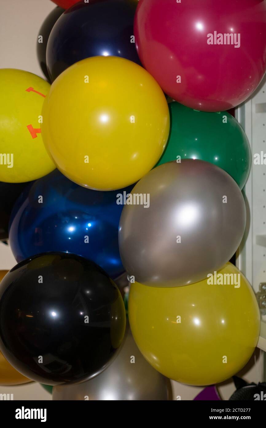 Inflated latex balloons in different colours tied in a bundle for a