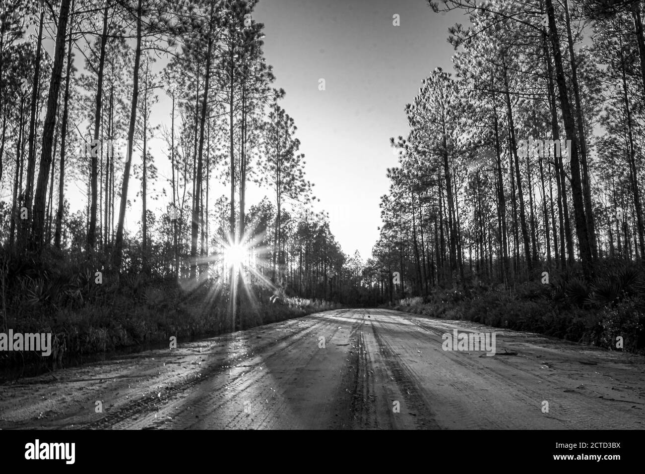 Beautiful scenery wallpapers Black and White Stock Photos & Images - Alamy