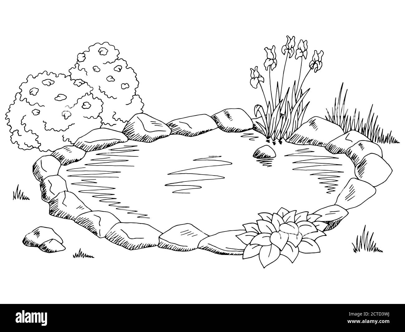Black And White Clip Art Of Pond Plants