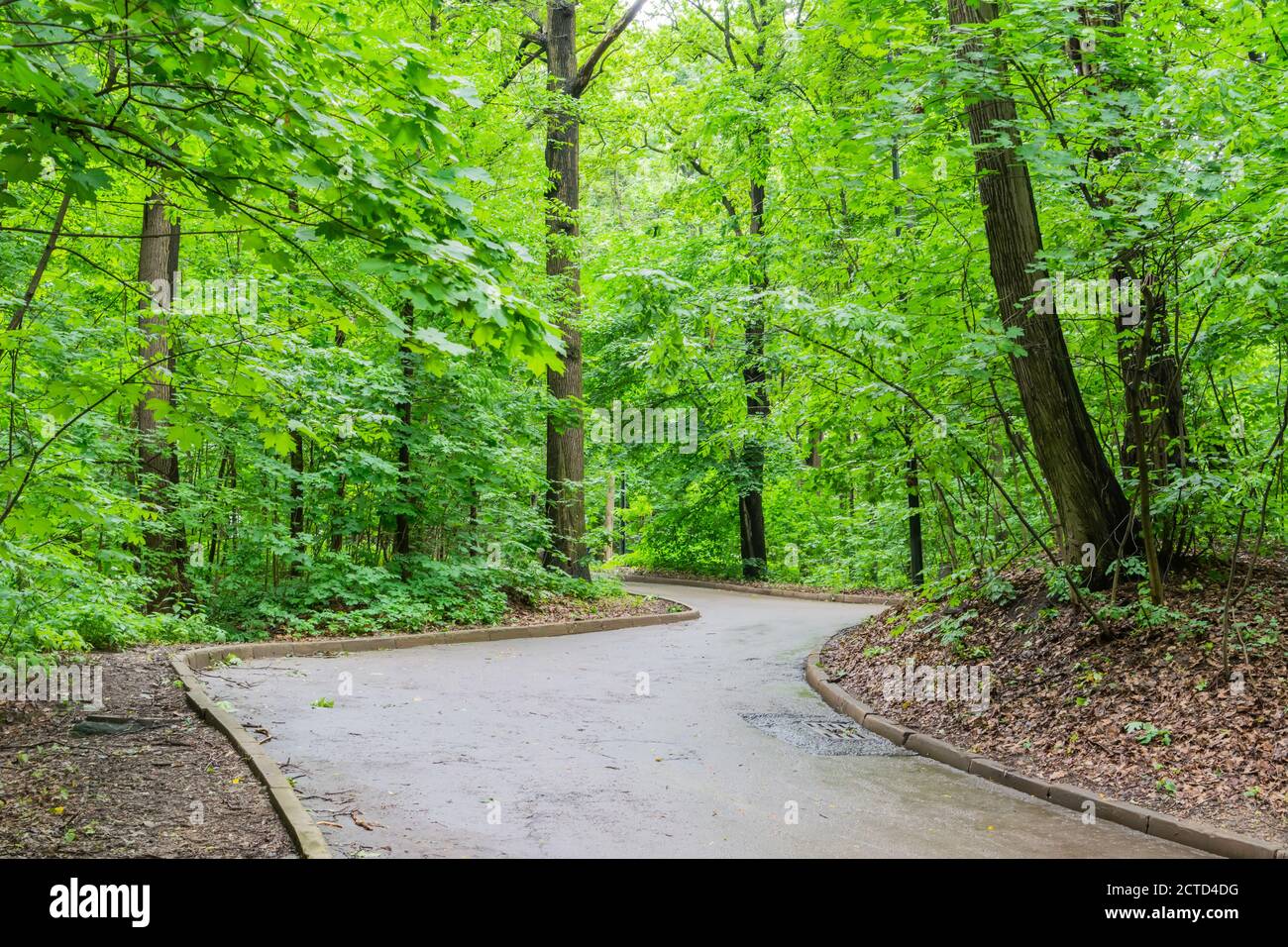 Walking trail in Vorobyovy Gory nature preserve in Moscow, Russia. Stock Photo