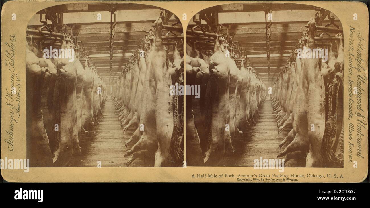 A halfmile of pork, Armour's great packing house, Chicago, Ill., still image, Stereographs
