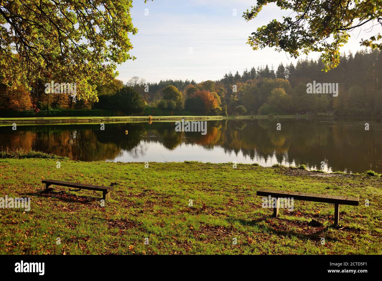 Autumn reflections in the lake at Shear Water. Stock Photo