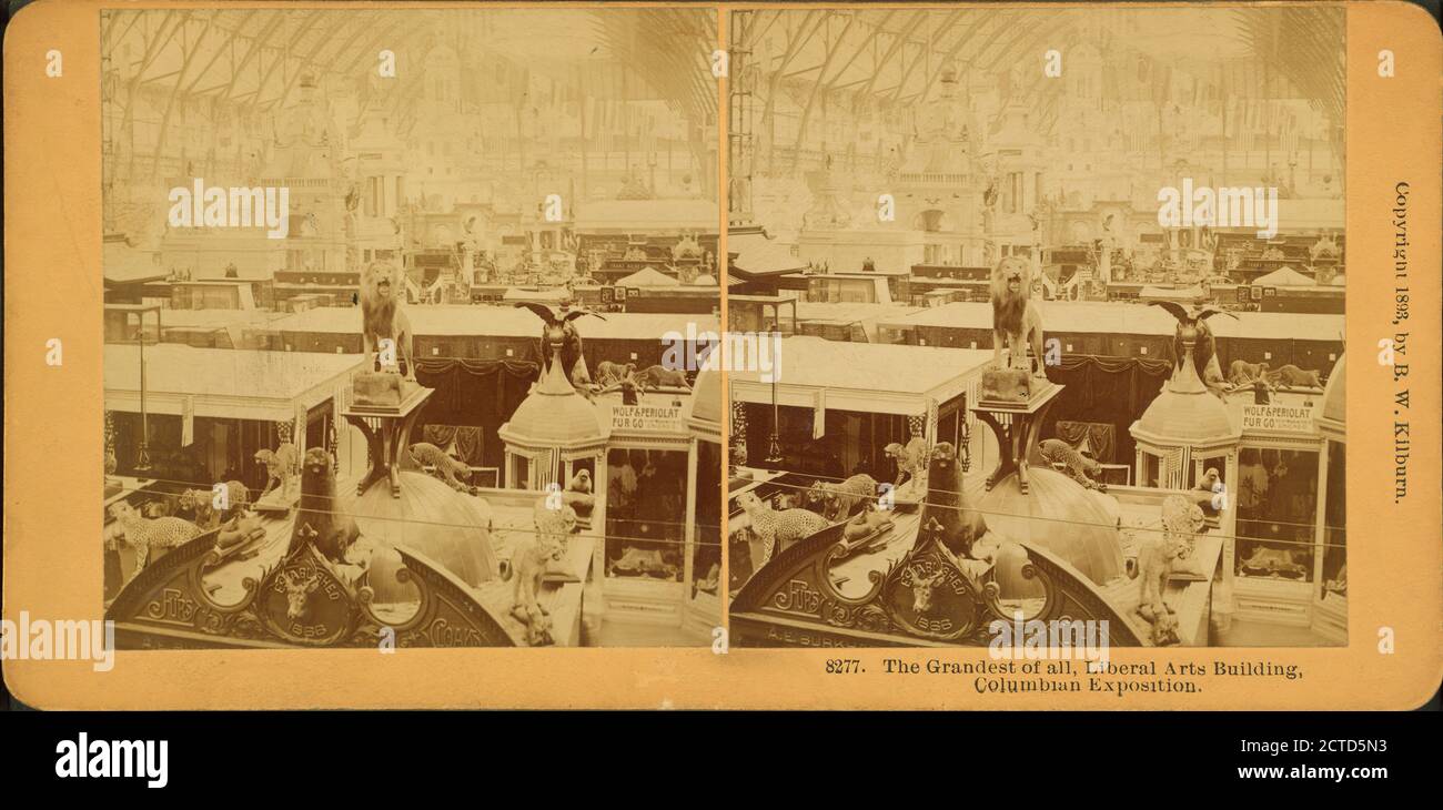The grandest of all, Liberal Arts building, Columbian Exposition., still image, Stereographs, 1893, Kilburn, B. W. (Benjamin West) (1827-1909 Stock Photo