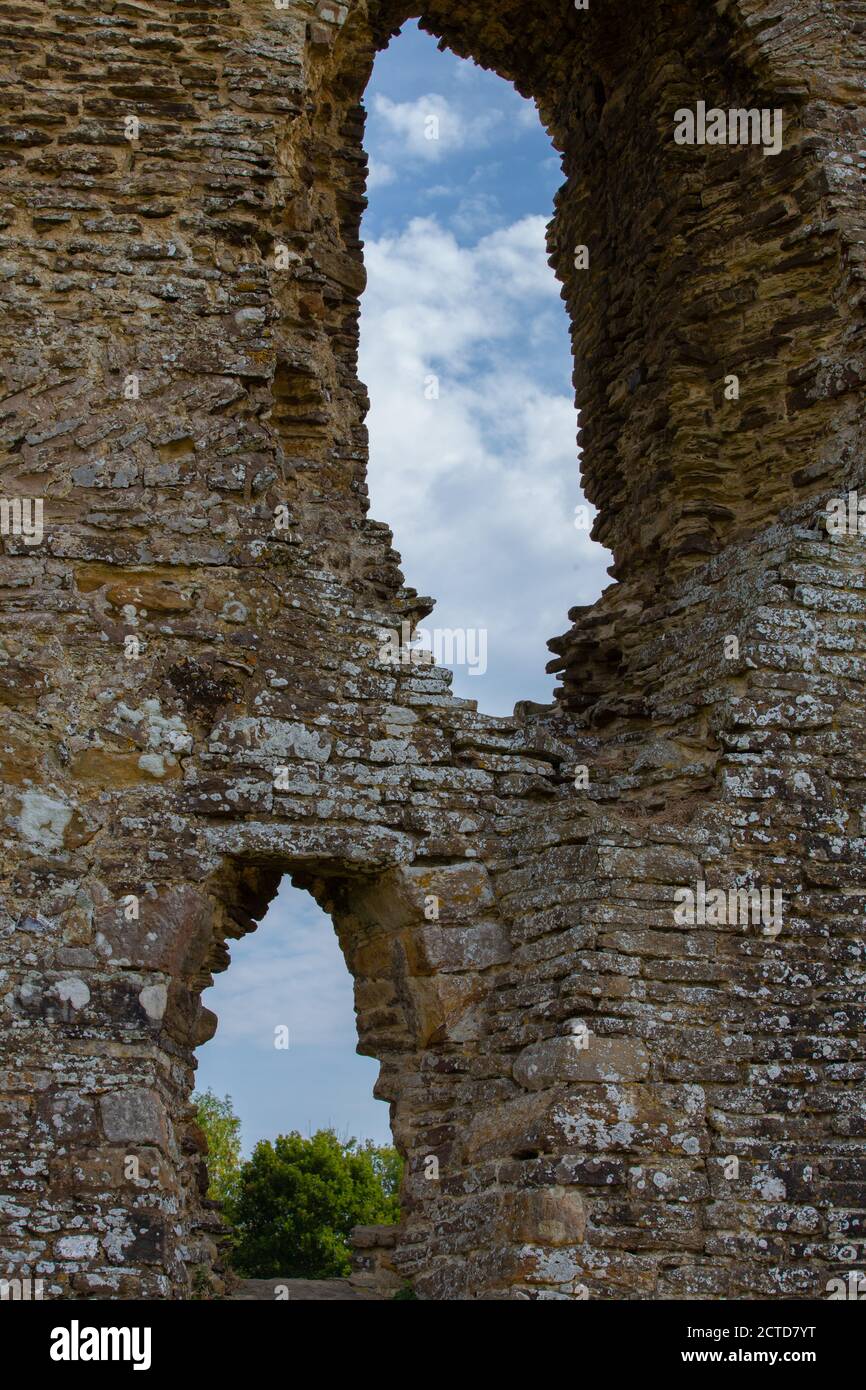 Castle ruins at the Knepp Estate Stock Photo