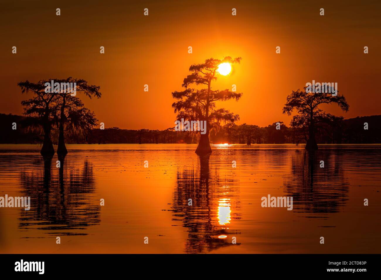 Sunrise with cypress trees in the swamp of the Caddo Lake State Park