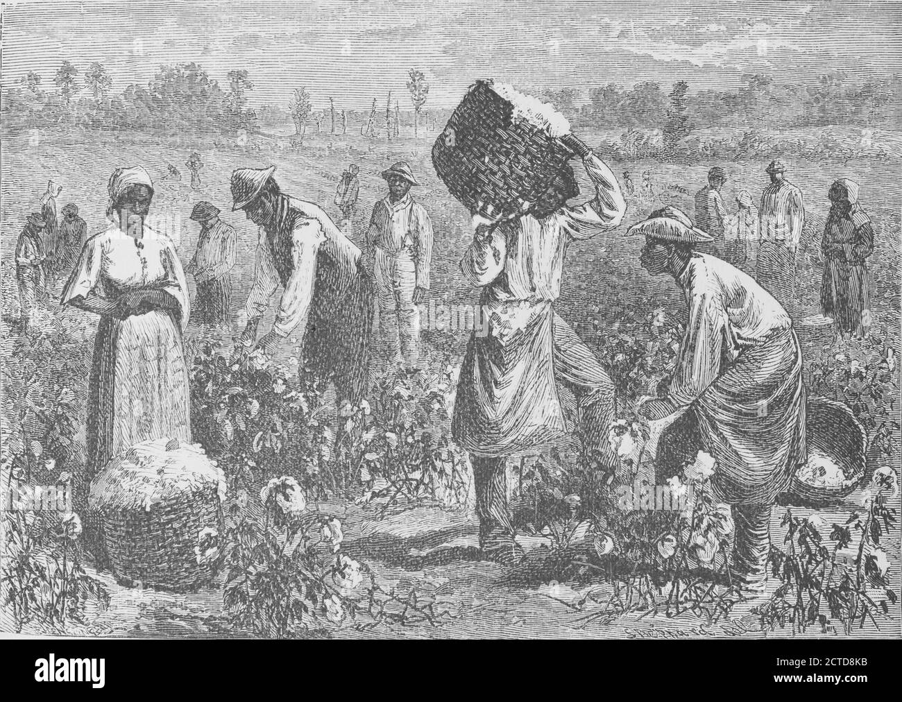 Scene on a cotton plantation, still image, Illustrations, 1874, King