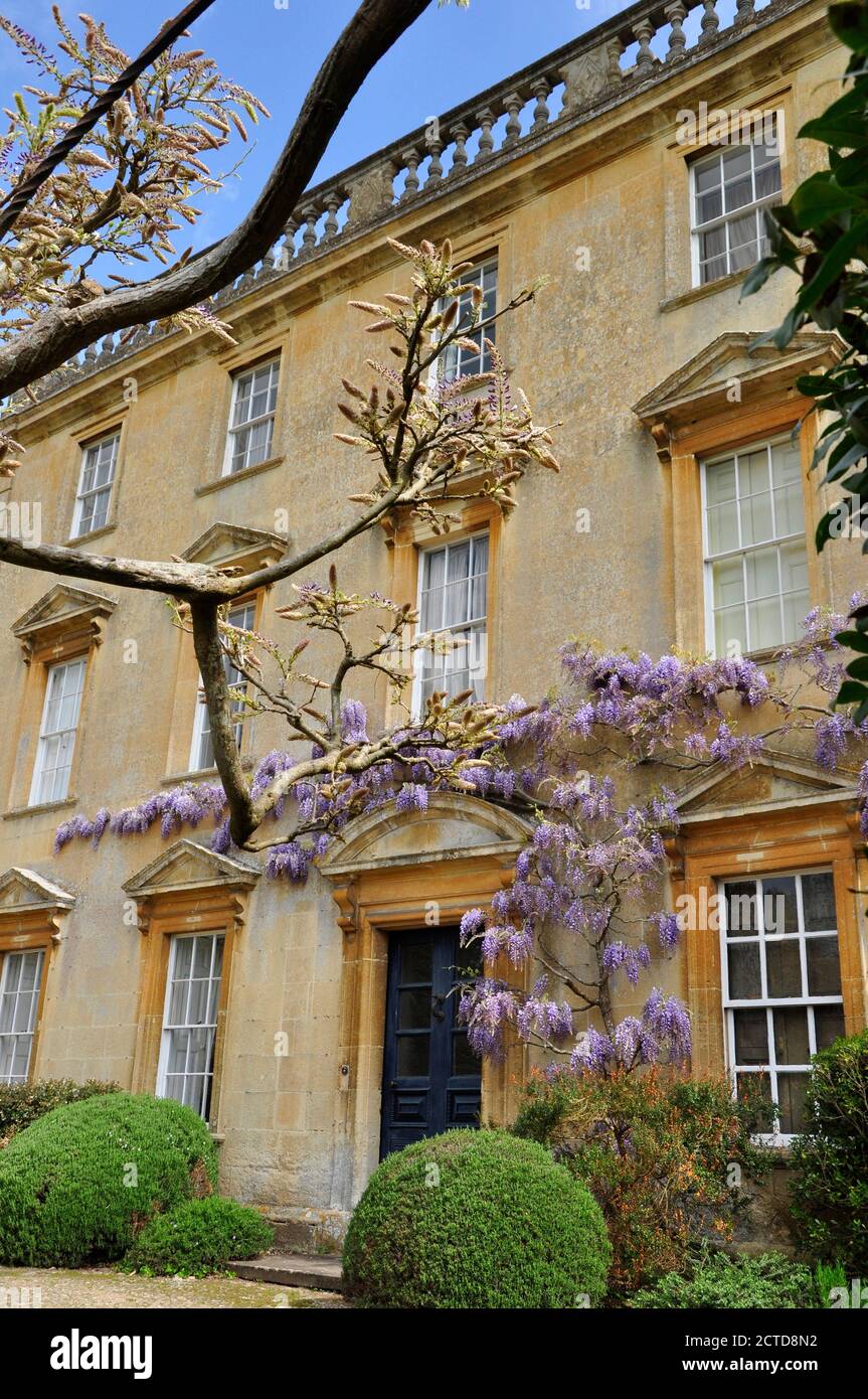 Wisteria in bloom on Iford manor near Bath Stock Photo