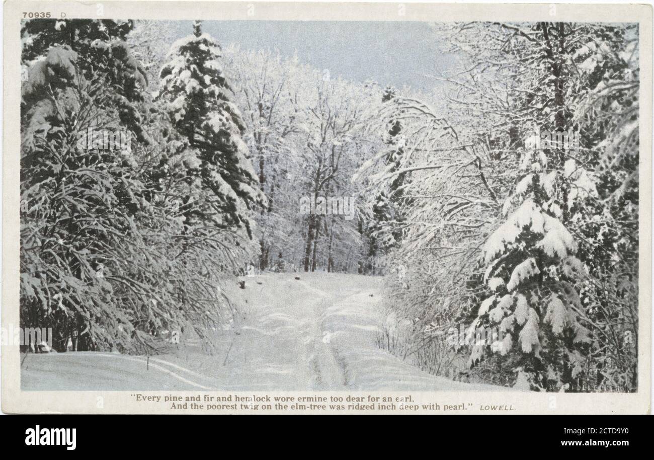 Snow Scene, still image, Postcards, 1898 - 1931 Stock Photo