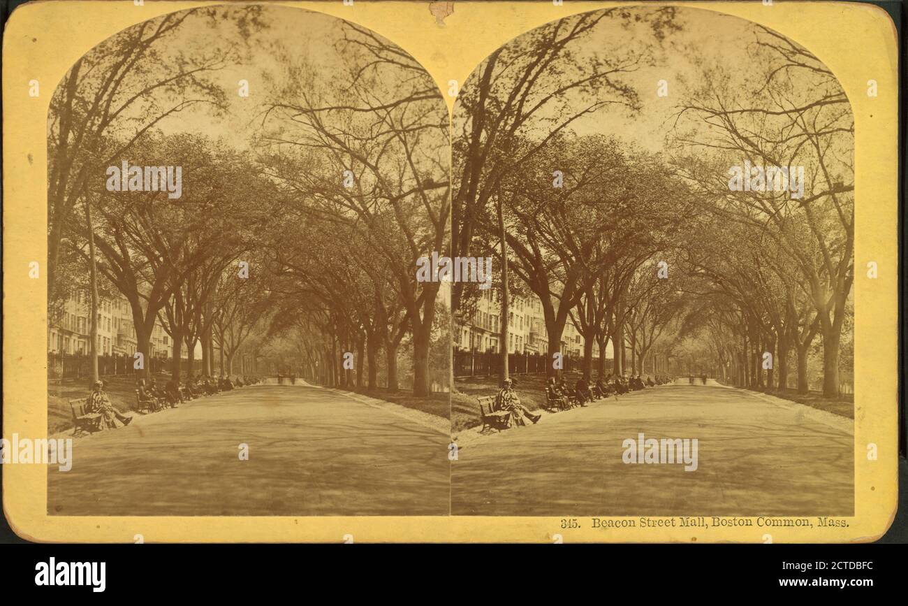 Beacon Street Mall, Boston Common, Mass., still image, Stereographs, 1850 - 1930, Kilburn, B. W. (Benjamin West) (1827-1909 Stock Photo