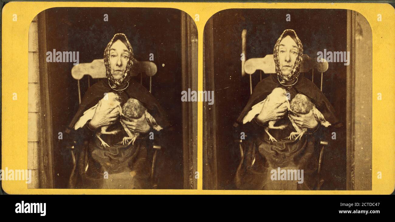Portrait of Nancy Luce, island eccentric, and her bantie hens., still image, Stereographs, 1850 - 1930, Adams, S. F. (b. 1844 Stock Photo