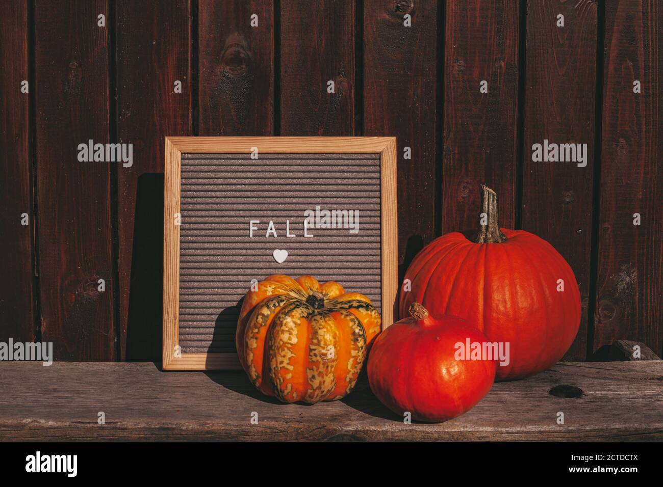 Hello Autumn sign. Autumn mood board. Autumn composition with pumpkin, message board. Cozy autumn mood. Rustic background. Stock Photo