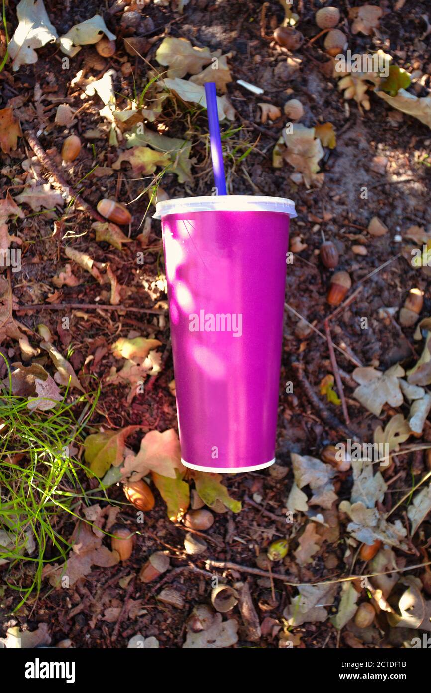 https://c8.alamy.com/comp/2CTDF1B/paper-soft-drink-cup-with-plastic-lid-and-straw-thrown-in-the-forest-on-the-ground-milkshake-or-soda-paper-cup-in-nature-blank-space-for-text-2CTDF1B.jpg