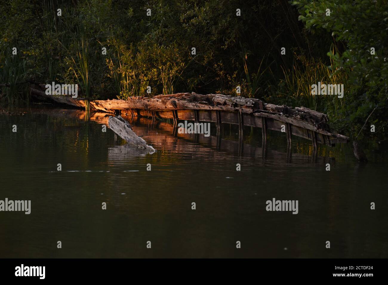 The last of the evening sunlight illuminates the remains of an old boat, long abandoned on the beautiful Basingstoke Canal in Surrey Stock Photo