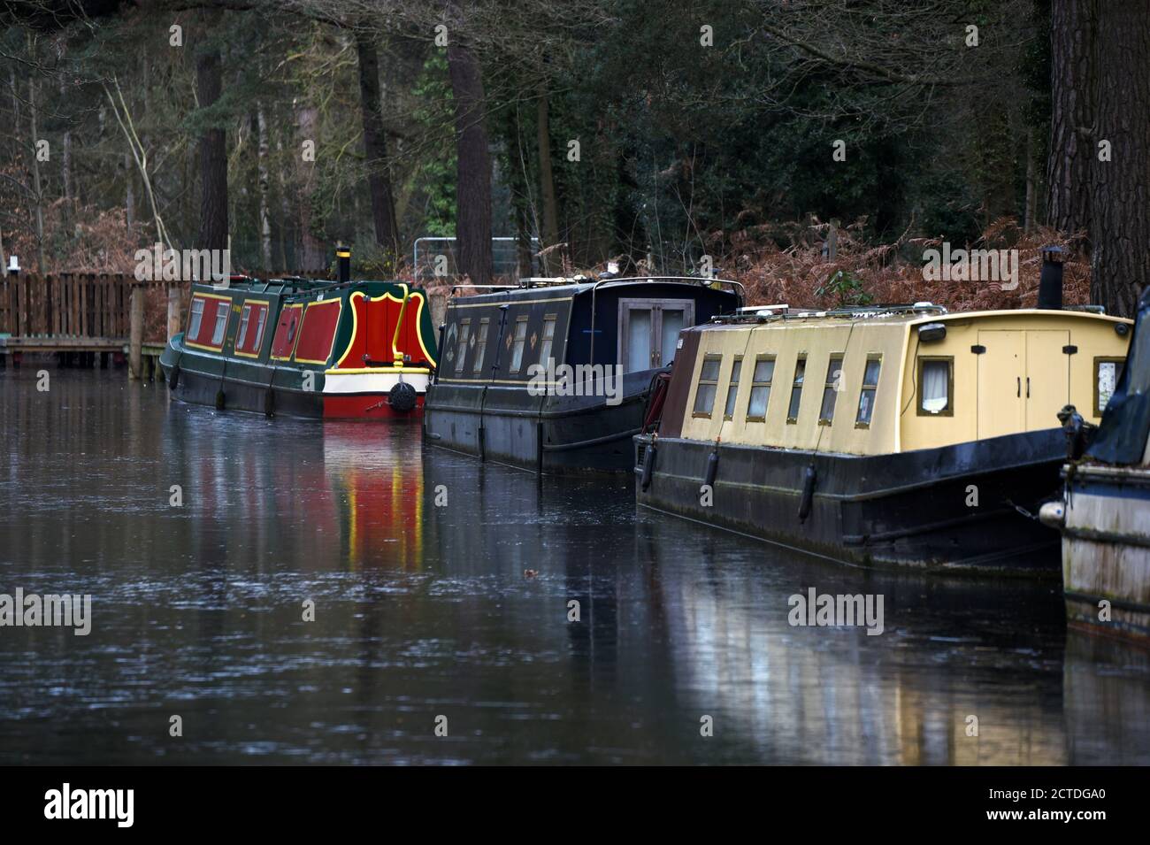 Boats are reflected in the icy waters of the beautiful Basingstoke Canal in this photo taken on a cold winter day Stock Photo