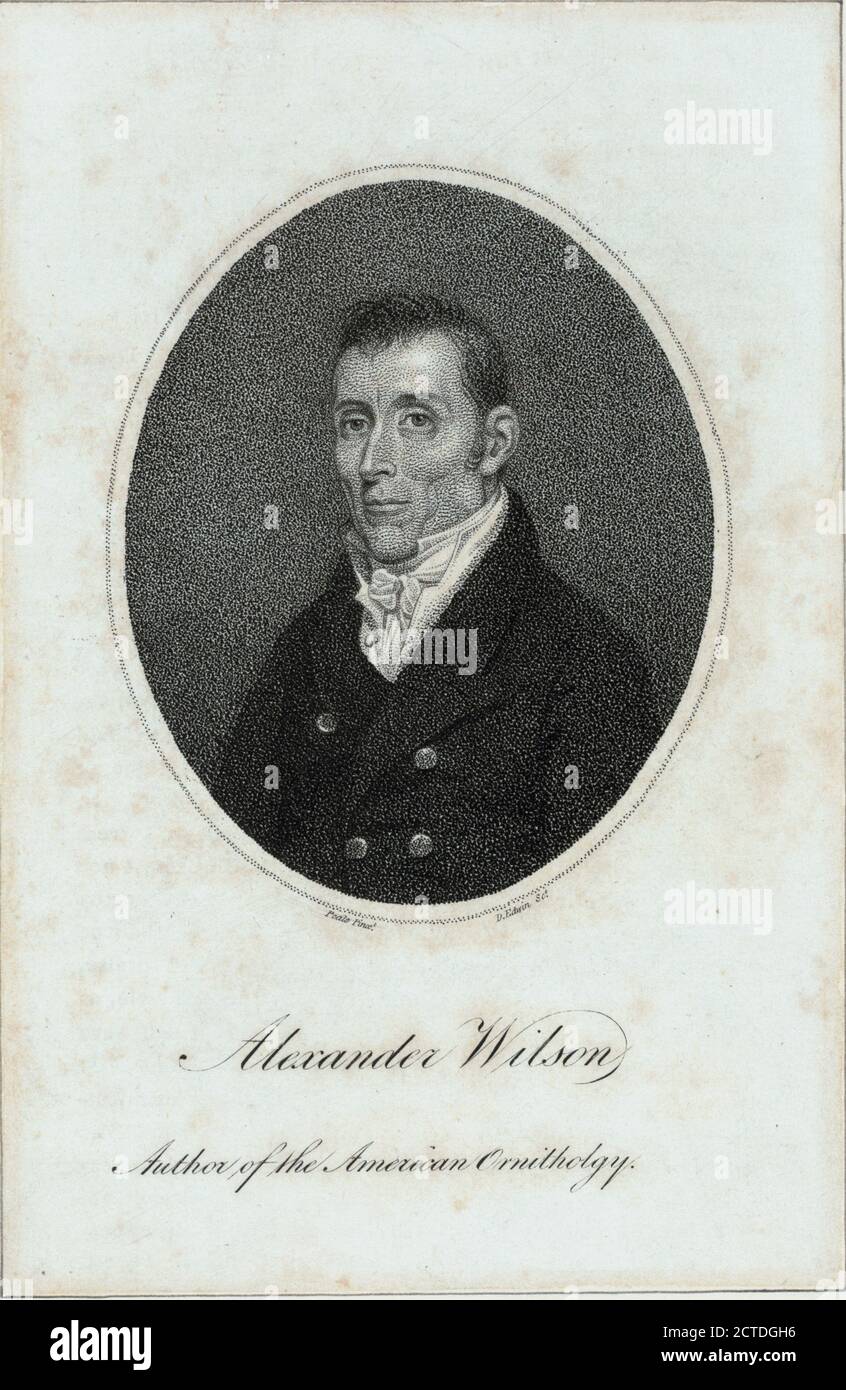 Alexander Wilson, author of the American ornithology., still image, Prints, 1880, Peale, Charles Willson (1741-1827), Edwin, David (1776-1841 Stock Photo
