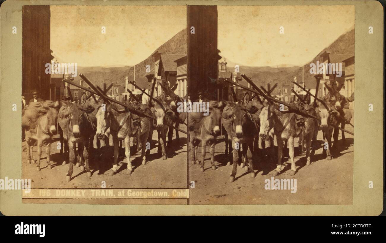 Donkey train, at Georgetown, Colorado., still image, Stereographs, 1850 ...