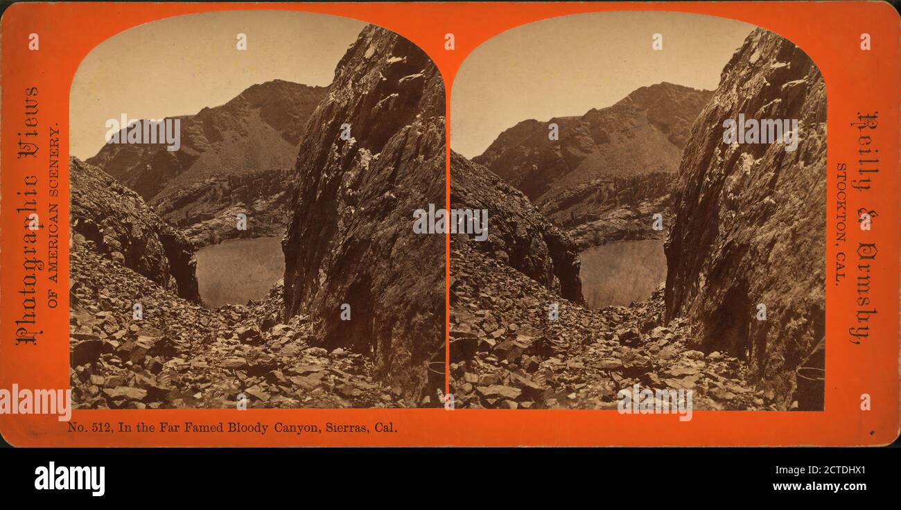 In the Far Famed Bloody Canyon, Sierras, Cal., still image, Stereographs, 1870 - 1874, Reilly & Ormsby Stock Photo