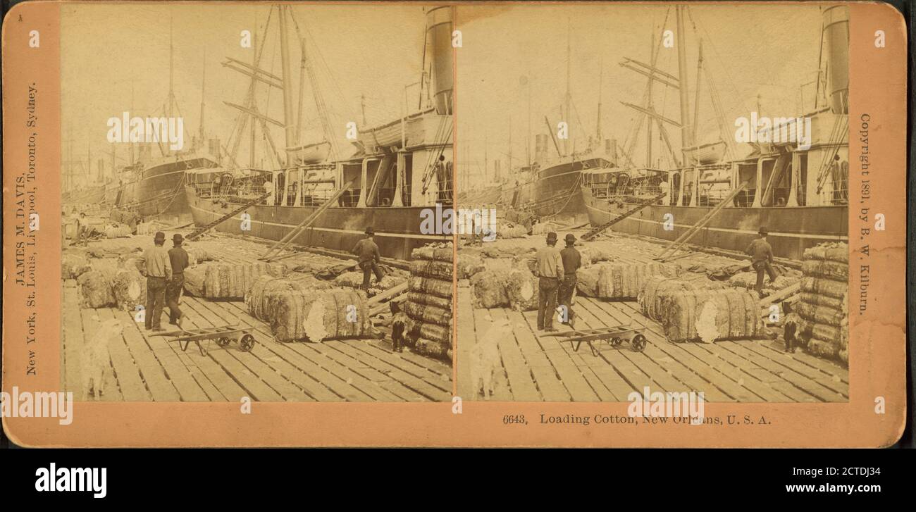 Loading cotton, New Orleans, U.S.A., still image, Stereographs, 1850 - 1930, Kilburn, B. W. (Benjamin West) (1827-1909 Stock Photo