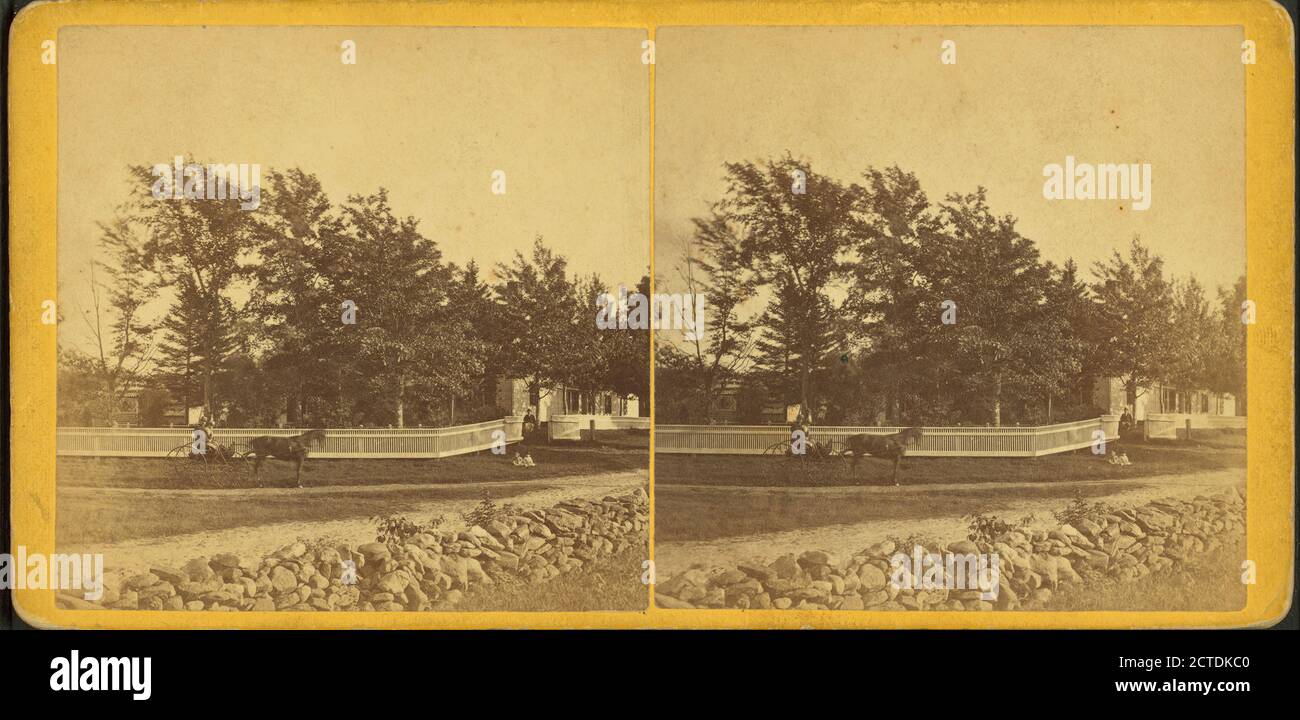 View of a buggy on a residential street., still image, Stereographs, 1850 - 1930, Putnam, George T., 1851 Stock Photo