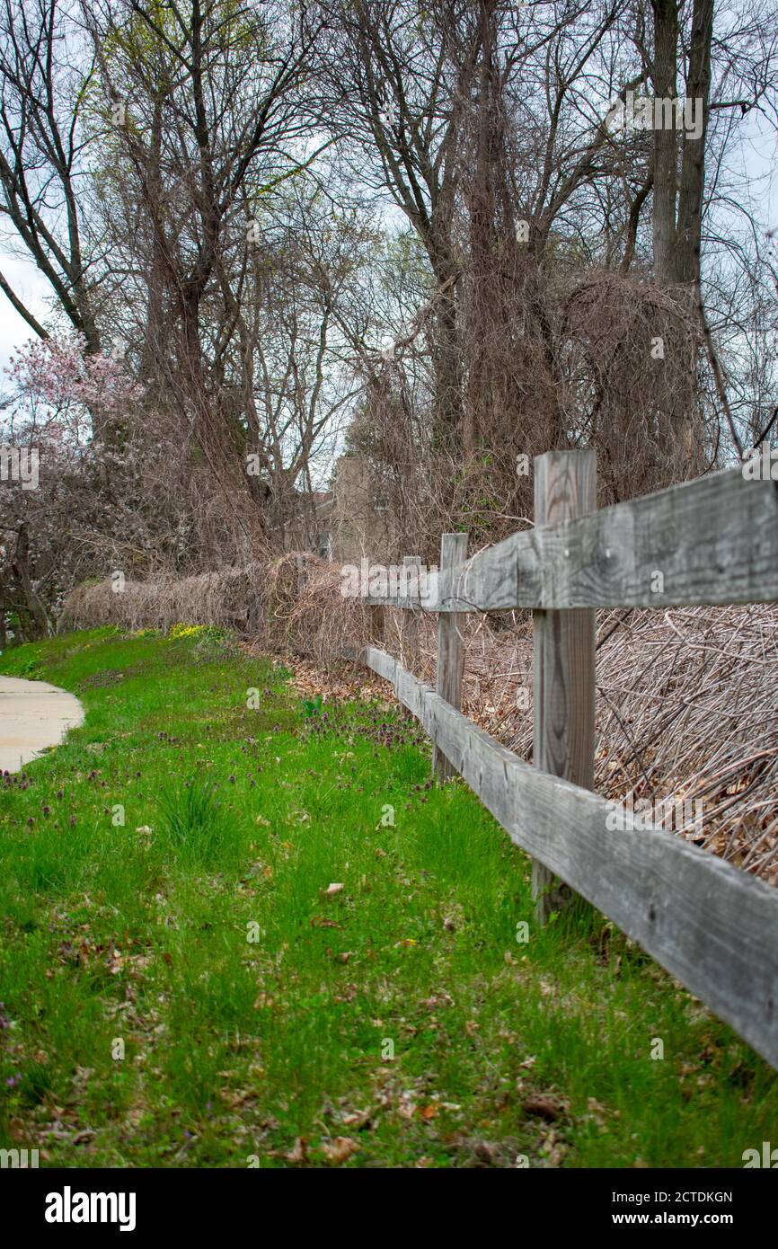 Old Fence Covered In Ivy High Resolution Stock Photography and Images ...