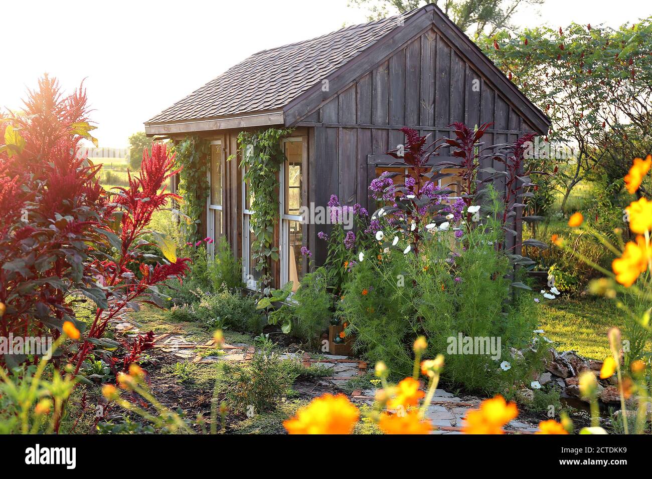 A Rustic little wooden cottage style garden shed is surrounded by beautiful, colorful summer flowers. Stock Photo