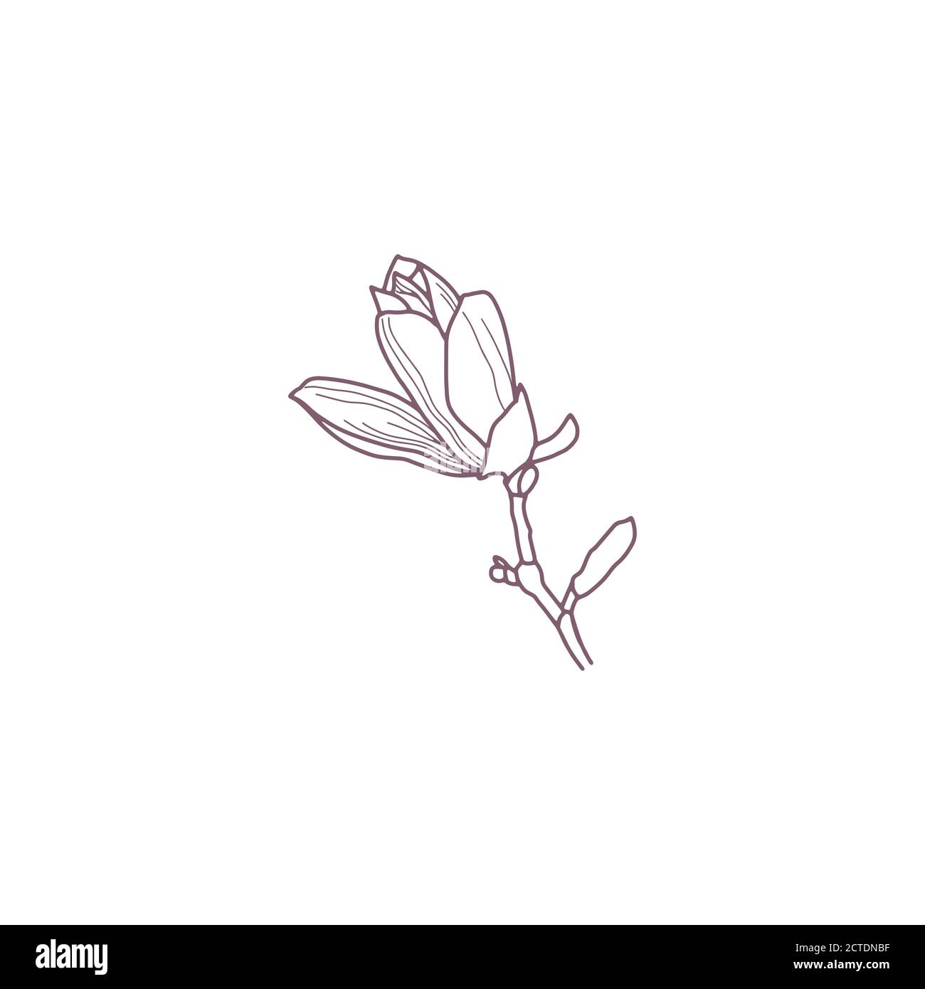 Hand drawn magnolia flowers for greeting or wedding card Stock Vector ...