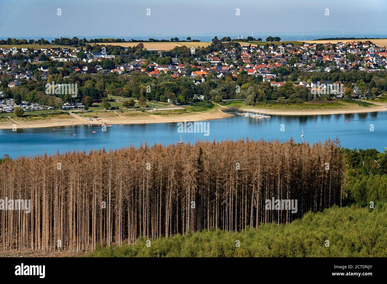 Waldsterben im Arnsberger Wald, nördliches Sauerland, abgestorbene Fichten Bäume, teils gerodeter Wald, am Möhnesee,  NRW, Deutschland, Stock Photo