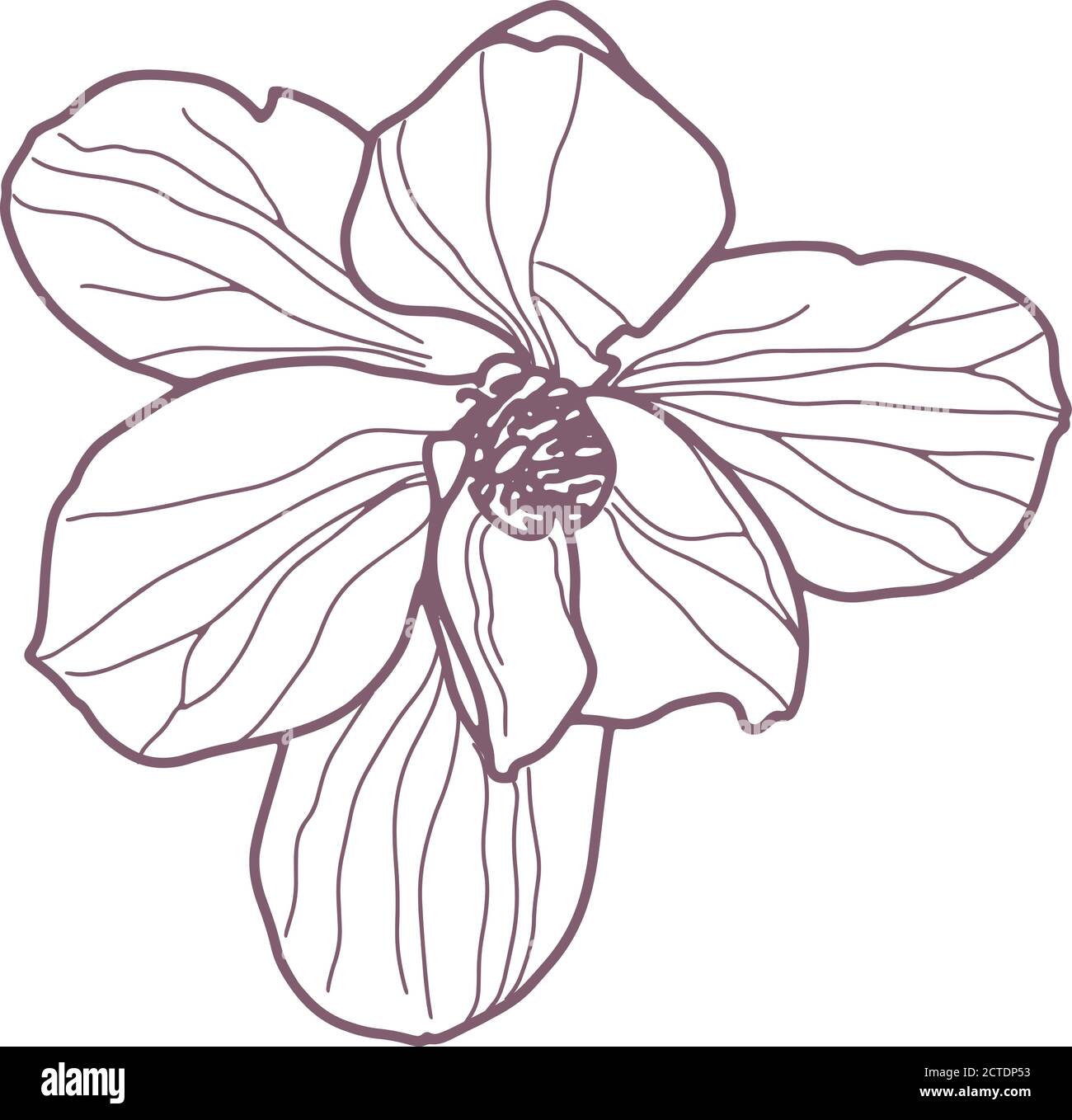 Hand drawn magnolia flowers for greeting or wedding card Stock Vector ...