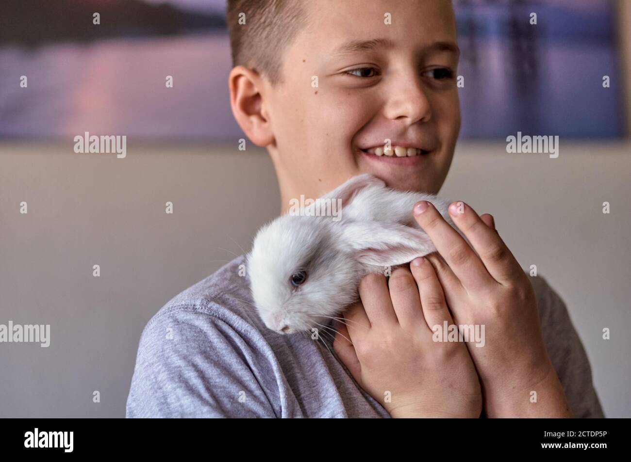 a boy with a white rabbit in his hands Stock Photo - Alamy