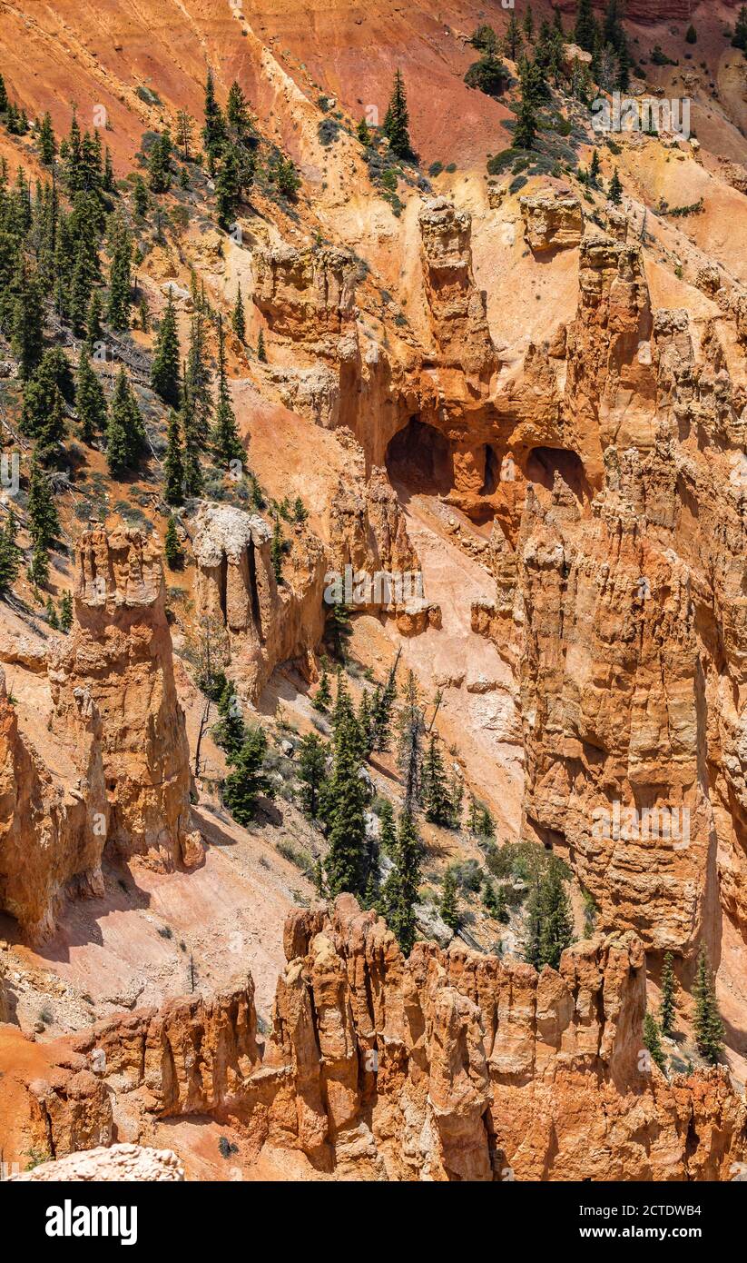 Rainbow Point Overlook in Bryce Canyon National Park, Utah Stock Photo