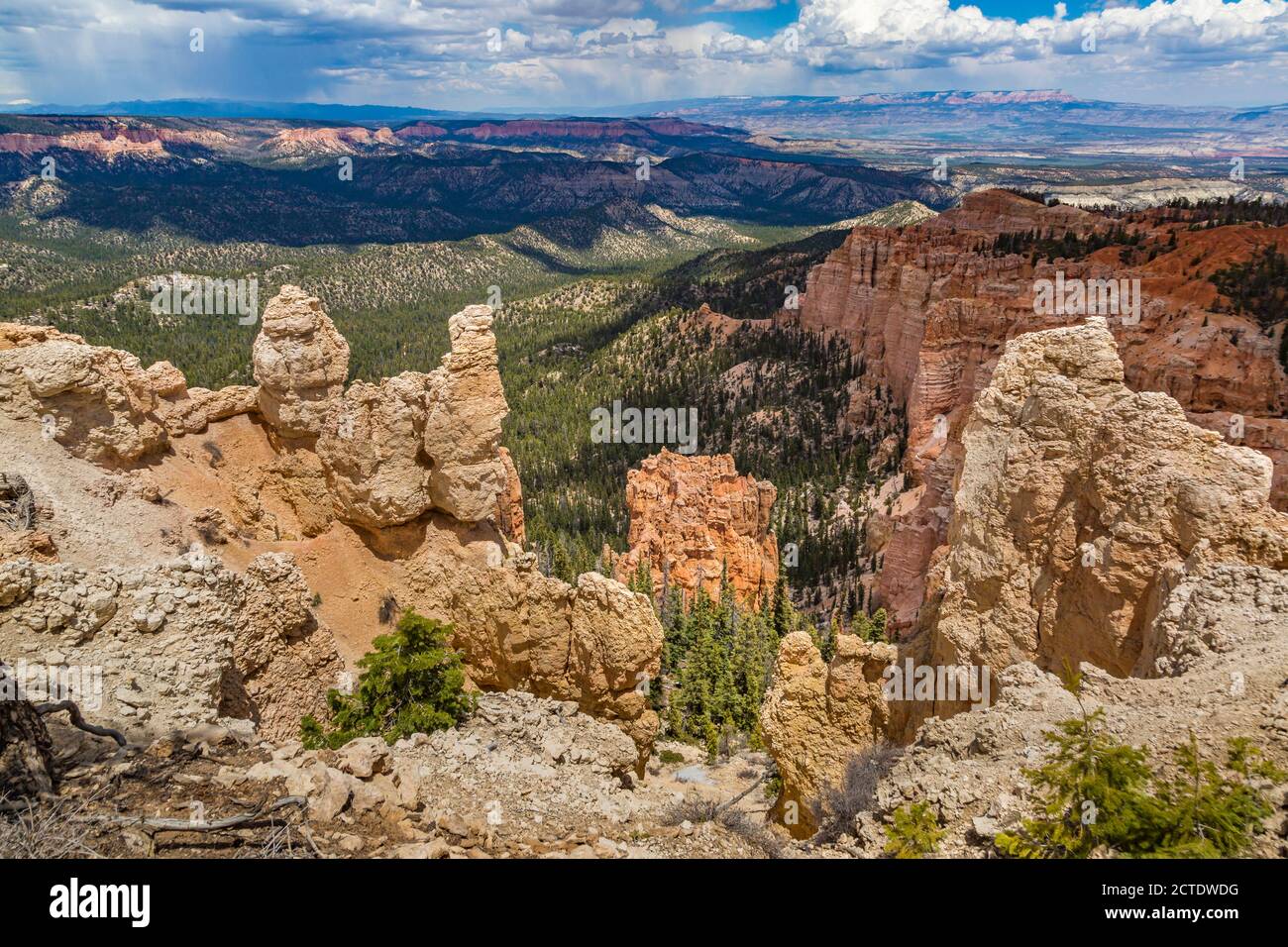 Rainbow Point Overlook in Bryce Canyon National Park, Utah Stock Photo