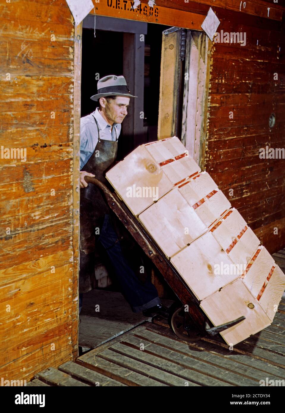 Loading oranges into refrigerator car at a co-op orange packing plant March 1943 Stock Photo